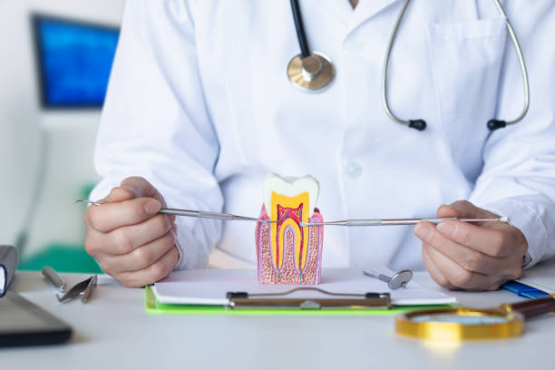 Best Emergency Treatment for Dental Infections or Abscesses in Black Diamond, WA